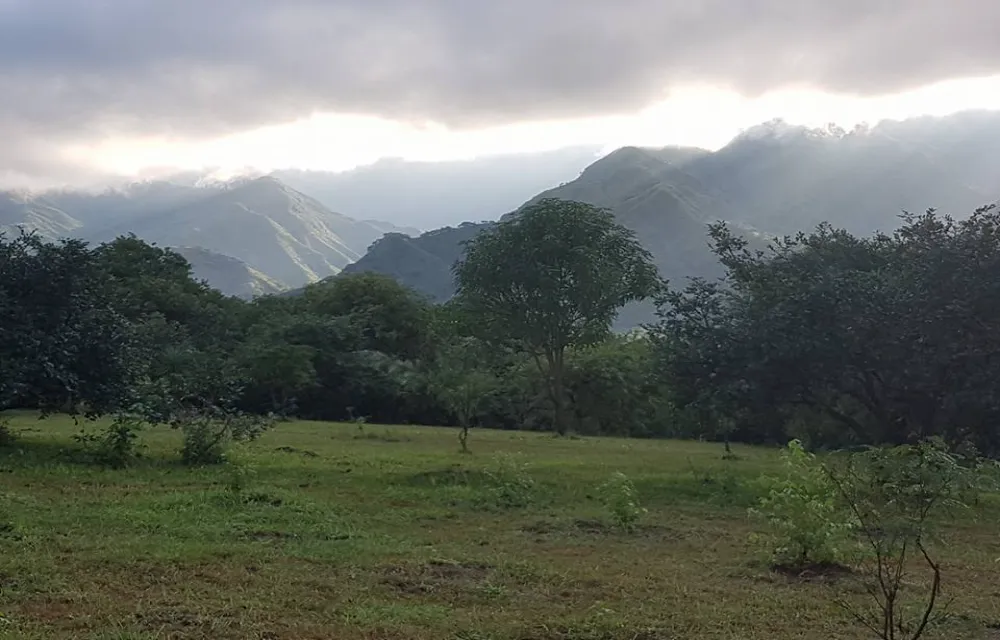 Rungwe Mountains